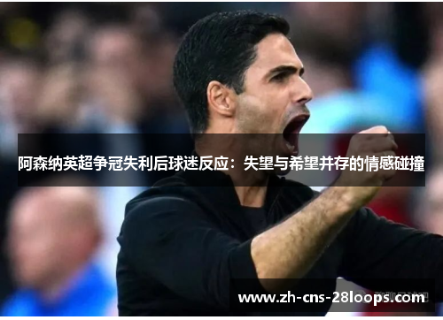 阿森纳英超争冠失利后球迷反应:失望与希望并存的情感碰撞 阿森纳英超争冠失利后球迷反应:失望与希望并存的情感碰撞