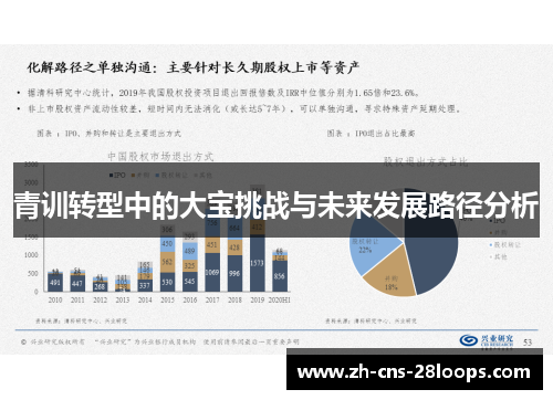 青训转型中的大宝挑战与未来发展路径分析 青训转型中的大宝挑战与未来发展路径分析